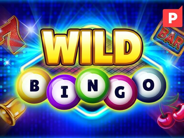 3355bet Bingo Selvagem